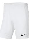 Nike Men's Park 3 Shorts flyshop